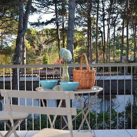 Villa Gloria Λινιάνο Σαμπιαντόρο Εξωτερικό φωτογραφία